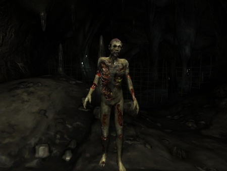 Datei:450px-NE-creature-Eitriger Zombie.jpg