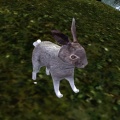 Datei:120px-AR-creature-Hase.jpg