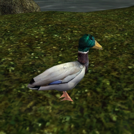 Datei:AR-creature-Ente.jpg