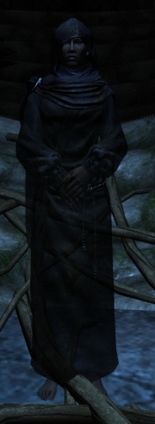 Datei:EN-NPC-The Veiled Woman.jpg