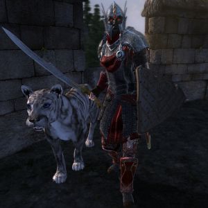 20251122201256!NE-mod-Nehrim Expanded-npc-Die stolze Schlaechterin.jpg