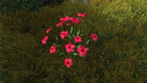 600px-Flachs2.jpg