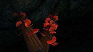 320px-Roter Porling.jpg