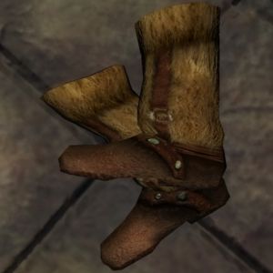 480px-NE-mod-Nehrim Expanded-item-Wolfsblut-Wolfsblutstiefel.jpg