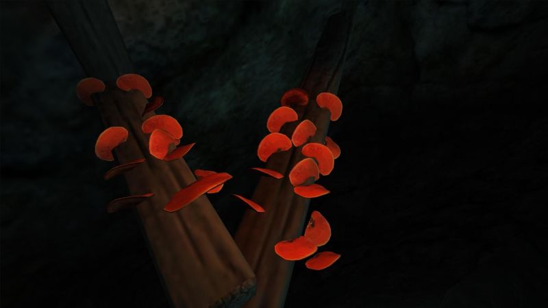 Datei:1600px-Roter Porling.jpg