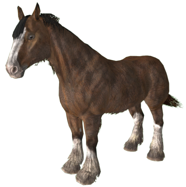 Datei:600px-EN-CREATURE-Pferd.png