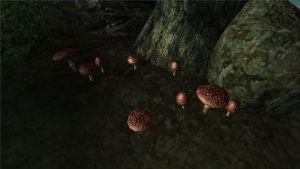 600px-Fliegenpilz2.jpg