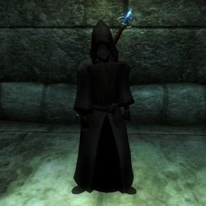 20251122201254!NE-npc-Sardren der Beschwoerer.jpg