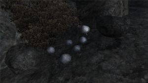 1600px-Violetter Lacktrichterling.jpg