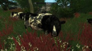 20251122201247!20170413224333 1.jpg