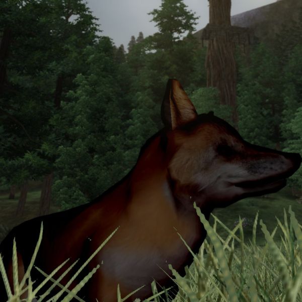 Datei:20131121003742!NE-mod-Nehrim Expanded-creature-Erkrankter Meister Reineke.jpg