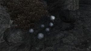 320px-Violetter Lacktrichterling.jpg