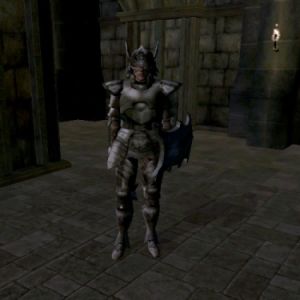 375px-MA-npc-Paladin Caleris.jpg