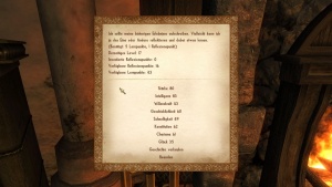 Das Abenteuertagebuch, Menü 1