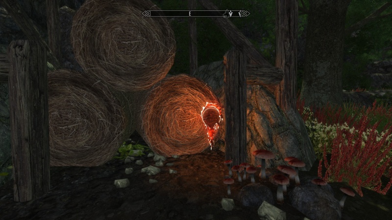 Datei:20170413224405 1.jpg