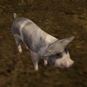 500px-AR-creature-Schwein.jpg