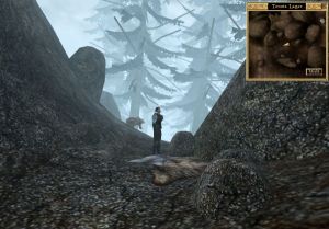 600px-AW-Tensi Lager02.jpg