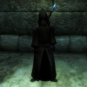 480px-NE-npc-Sardren der Beschwoerer.jpg