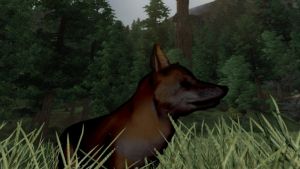 1024px-NE-mod-Nehrim Expanded-creature-Erkrankter Meister Reineke.jpg