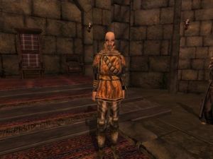 600px-Morrowind 2013-02-15 13-10-55-01.jpg