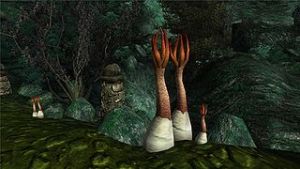 320px-Hundsrute.jpg