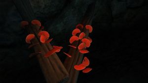 640px-Roter Porling.jpg