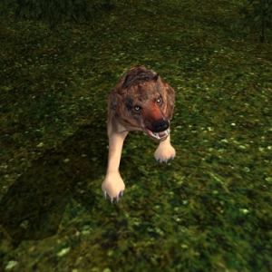 375px-AR-creature-Wolf 02.jpg