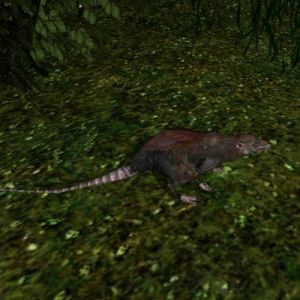 500px-AR-creature-Ratte.jpg