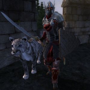 375px-NE-mod-Nehrim Expanded-npc-Die stolze Schlaechterin.jpg