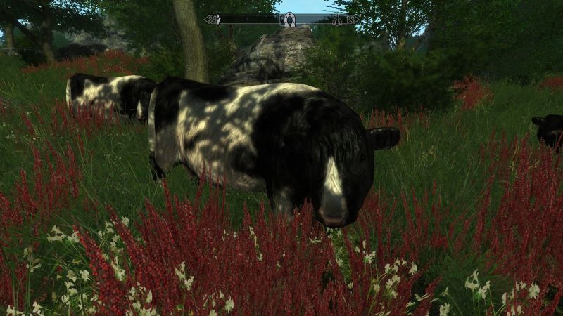 Datei:1600px-20170413224333 1.jpg