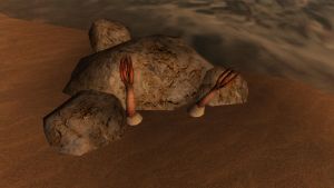 20121124171122!Hundsrute.jpg