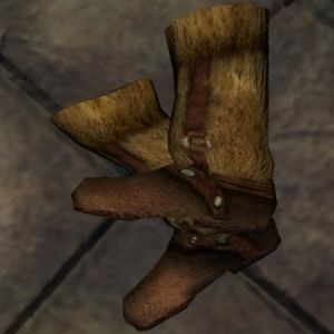 450px-NE-mod-Nehrim Expanded-item-Wolfsblut-Wolfsblutstiefel.jpg