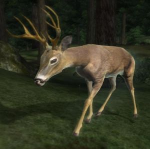 482px-NE-creature-Erkrankter Hirsch.jpg