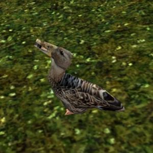 375px-AR-creature-Ente 02.jpg