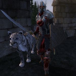 600px-NE-mod-Nehrim Expanded-npc-Die stolze Schlaechterin.jpg