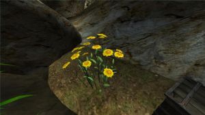 600px-Flachs.jpg