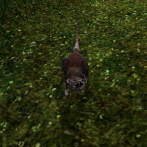 500px-AR-creature-Ratte 02.jpg