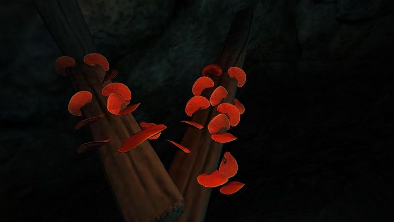 Datei:1024px-Roter Porling.jpg