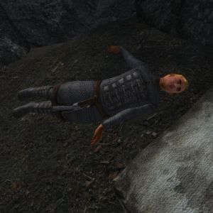 480px-NE-mod-Nehrim Expanded-npc-Marvin.jpg