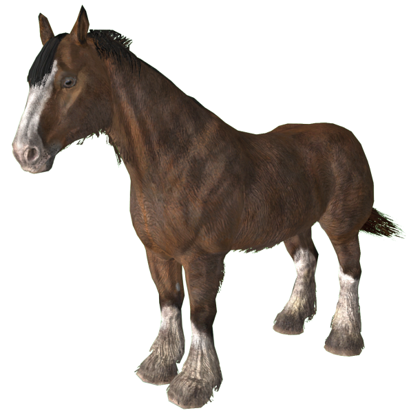 Datei:EN-CREATURE-Pferd.png
