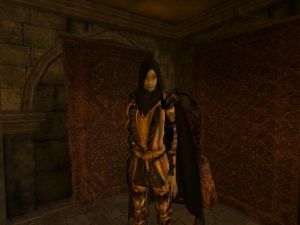 600px-Morrowind 2013-02-24 11-06-50-03.jpg