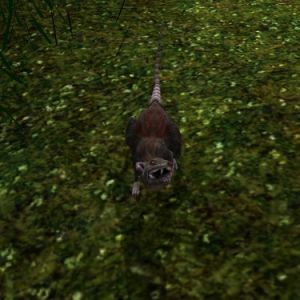 375px-AR-creature-Ratte 02.jpg