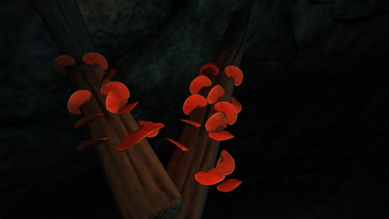 Datei:1200px-Roter Porling.jpg