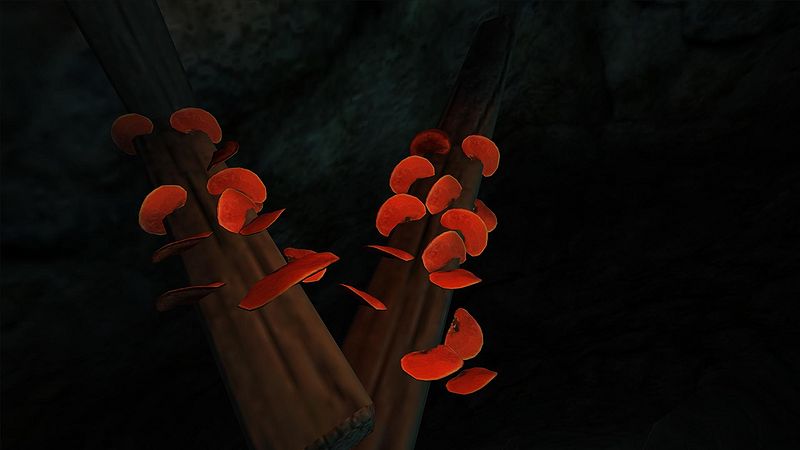 Datei:Roter Porling.jpg