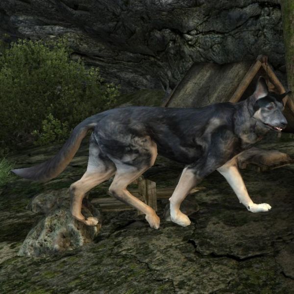 Datei:20131121003754!NE-mod-Nehrim Expanded-creature-Wolfsblut.jpg