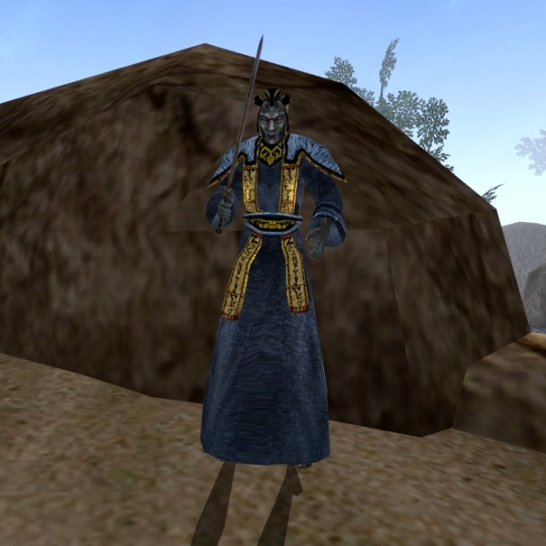 Datei:MA-npc-Dunkelelfen Infanterie.jpg