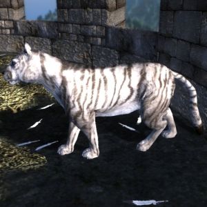 500px-NE-mod-Nehrim Expanded-creature-Schlaechterins Schmusekatze.jpg