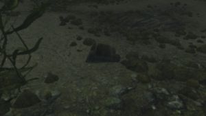 800px-EN-quest-Die Leere-Schatulle.jpg