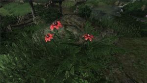 1024px-Erothin Bluete.jpg