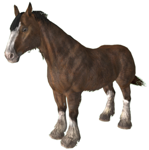 597px-EN-CREATURE-Pferd.png